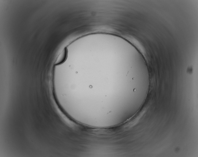 X0000102031391200808081802