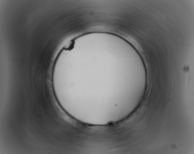 X0000102031392200808081802