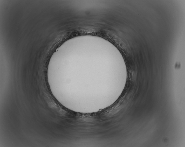 X0000102031393200808081801