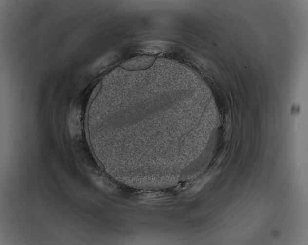 X0000102031394200808081801