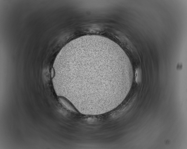 X0000102031395200808081801