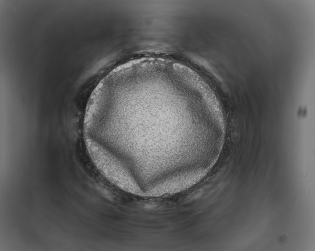 X0000102031399200808081801