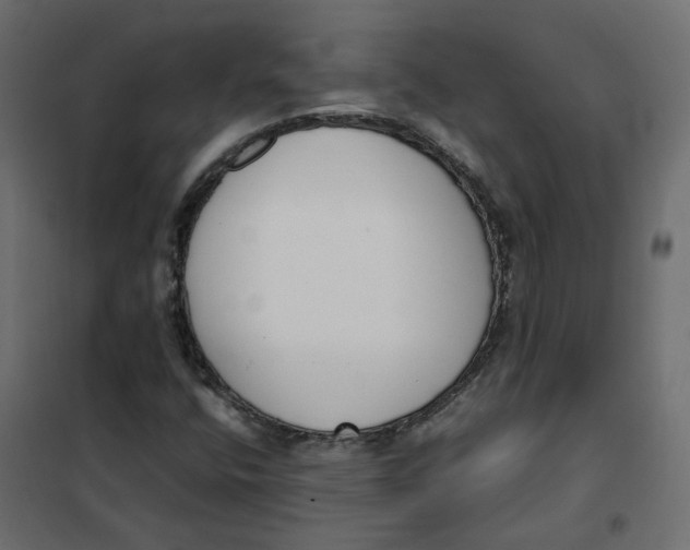 X0000102031400200808081801