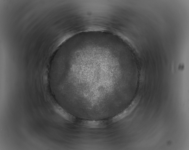 X0000102031401200808081801