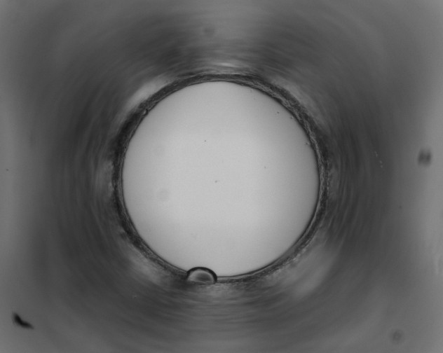 X0000102031402200808081801