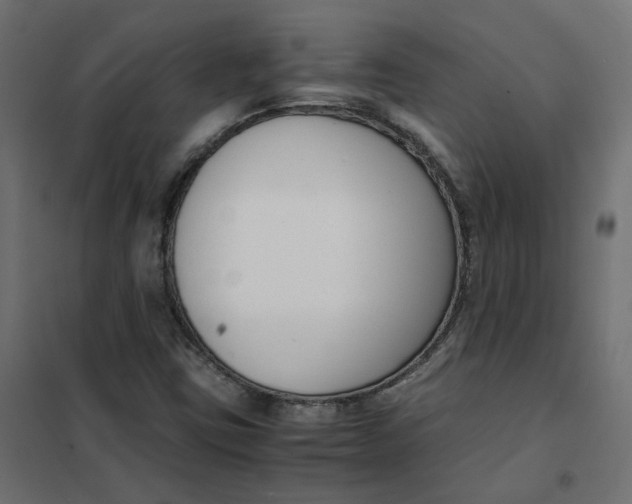 X0000102031403200808081801