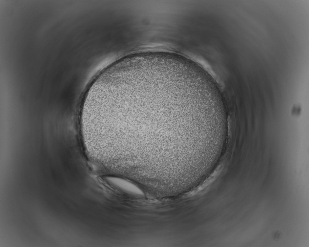 X0000102031405200808081801