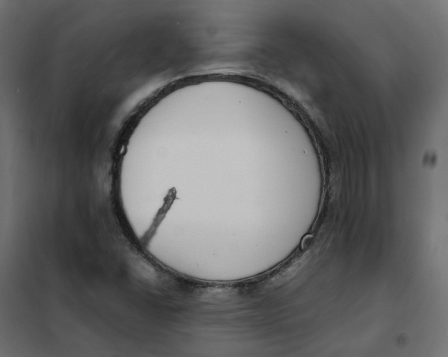 X0000102031406200808081801