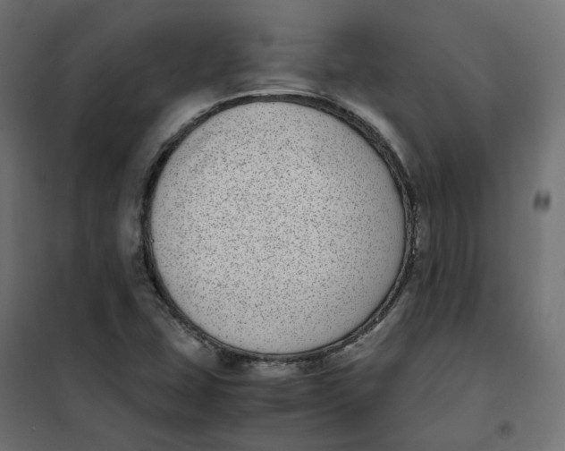 X0000102031407200808081801