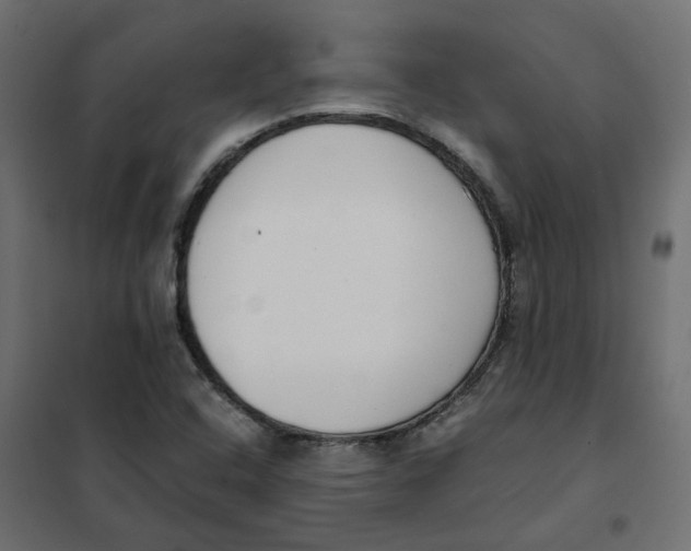 X0000102031408200808081801