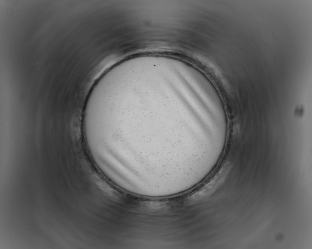 X0000102031409200808081801