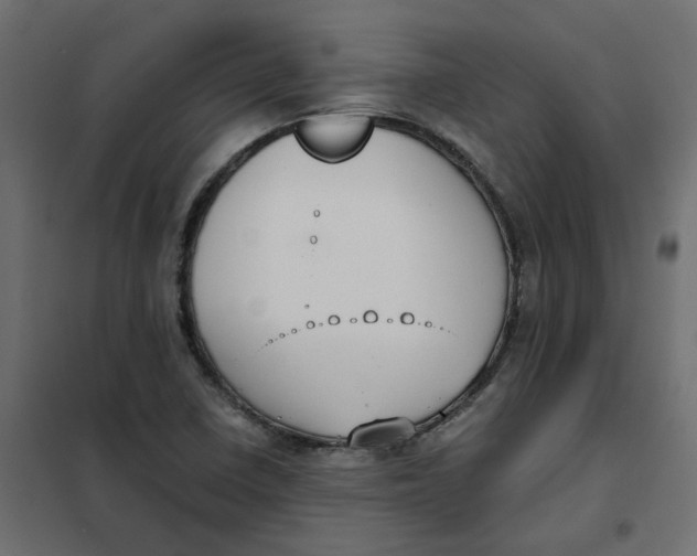 X0000102031410200808081801