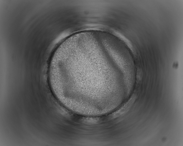 X0000102031411200808081801