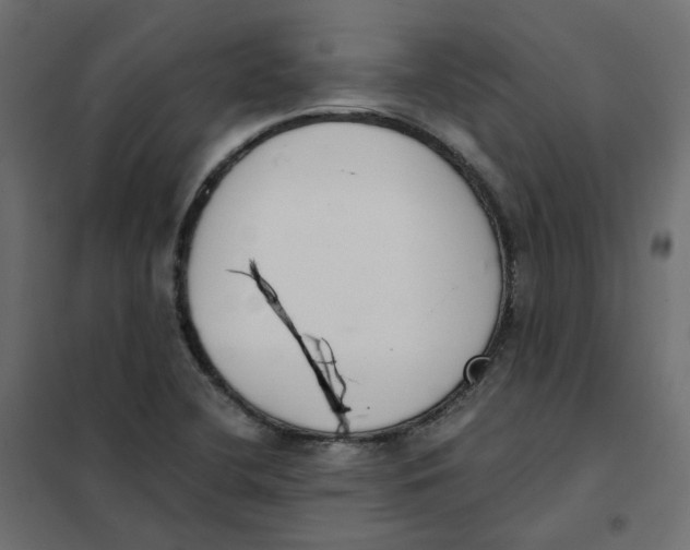 X0000102031412200808081801