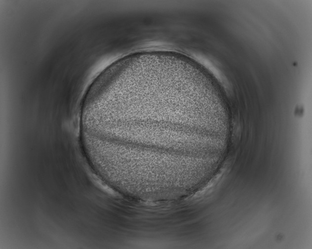 X0000102031413200808081801