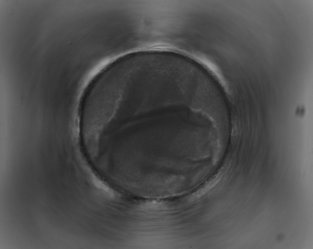 X0000102031414200808081801