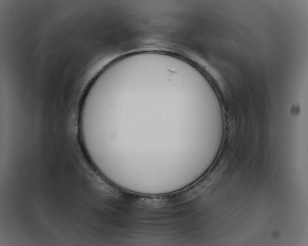 X0000102031415200808081801