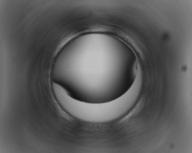 X0000102031417200808081801