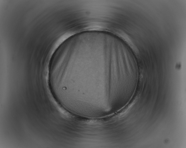 X0000102031418200808081801