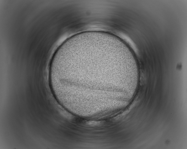 X0000102031419200808081801