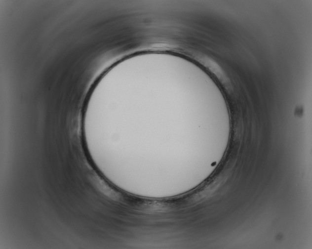 X0000102031420200808081801