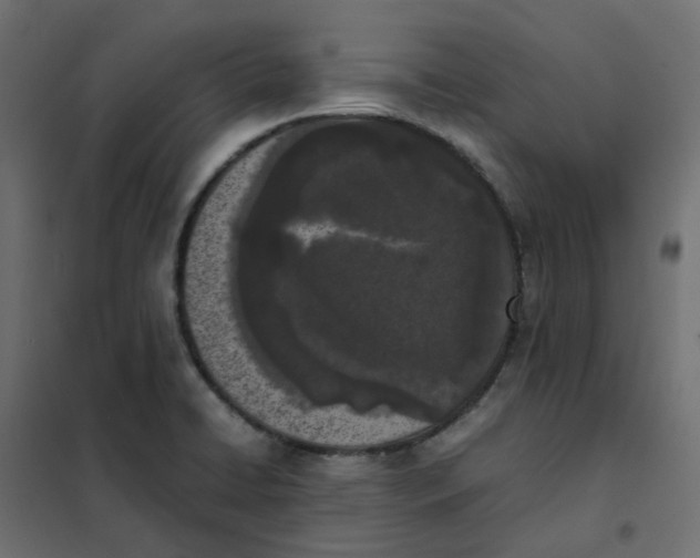 X0000102031422200808081801