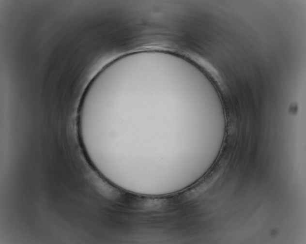 X0000102031423200808081801