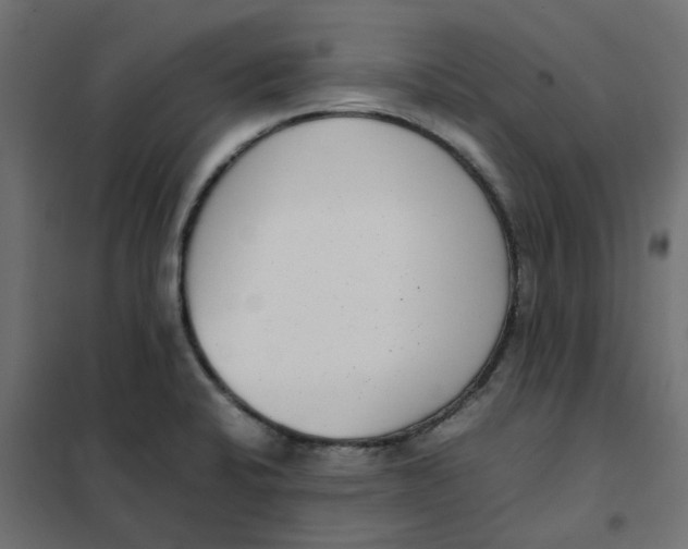 X0000102031424200808081801