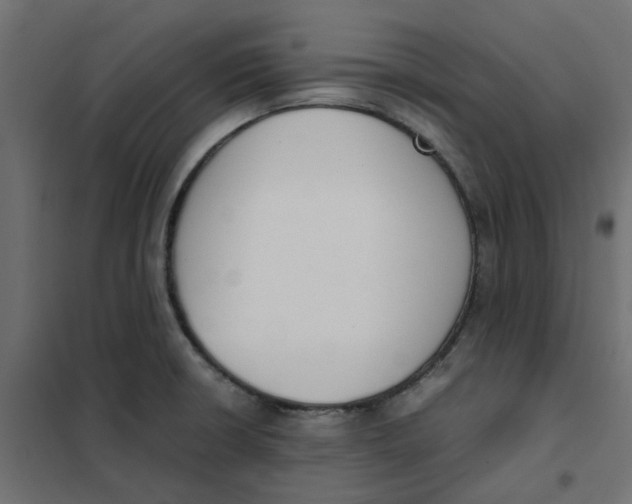 X0000102031426200808081801