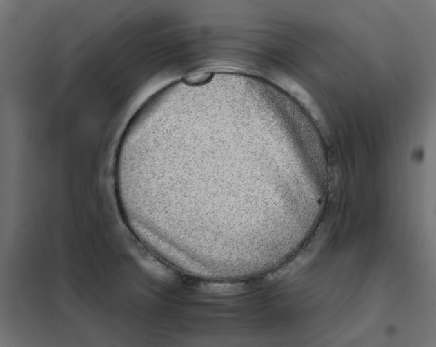 X0000102031427200808081801