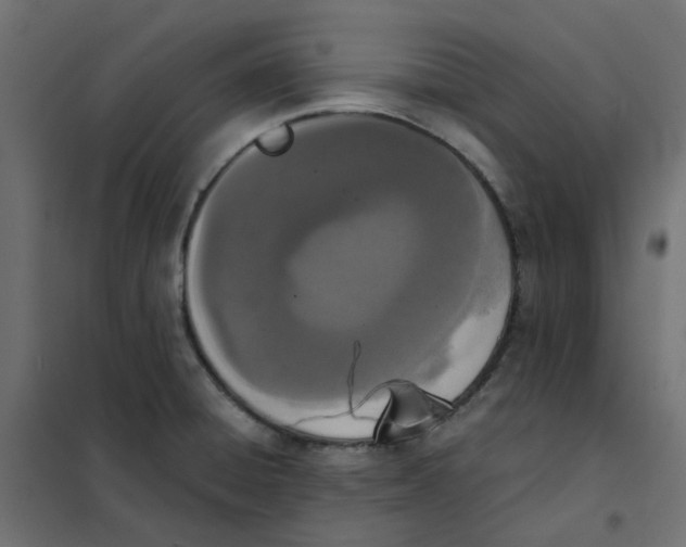 X0000102031428200808081801