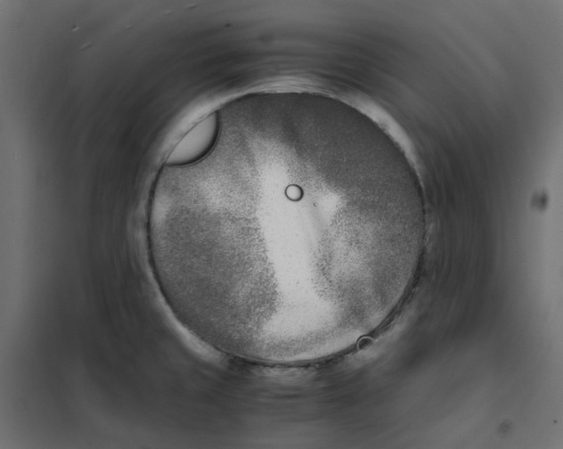 X0000102031429200808081801