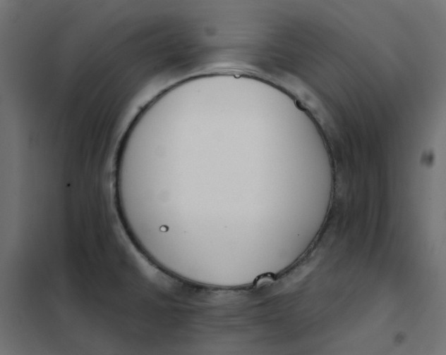 X0000102031430200808081801