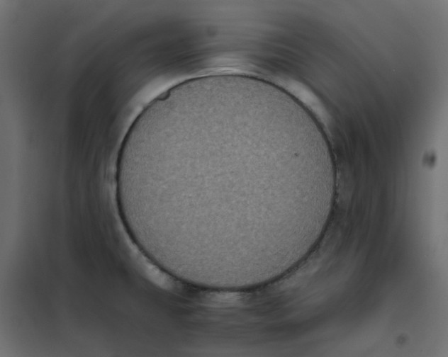 X0000102031431200808081801