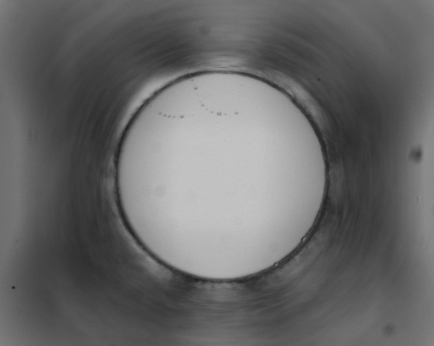 X0000102031432200808081801