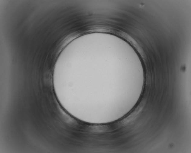 X0000102031433200808081801