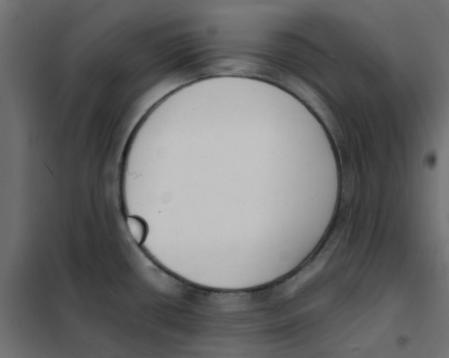 X0000102031434200808081801