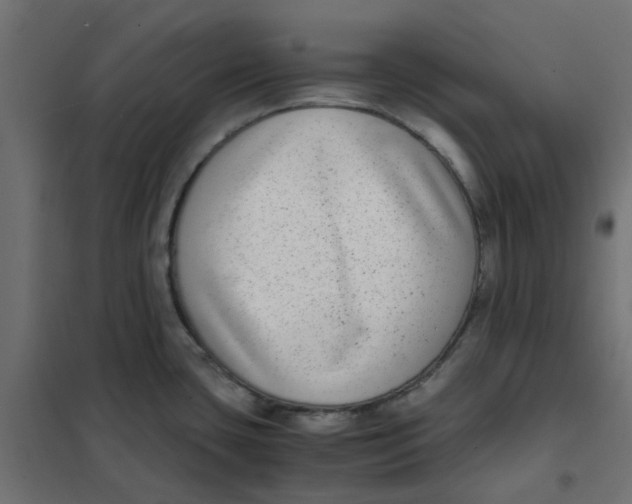 X0000102031435200808081802