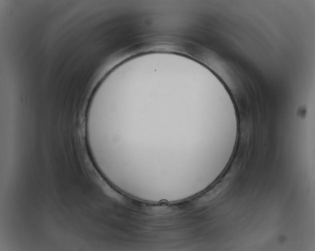 X0000102031436200808081802