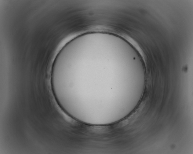 X0000102031437200808081802