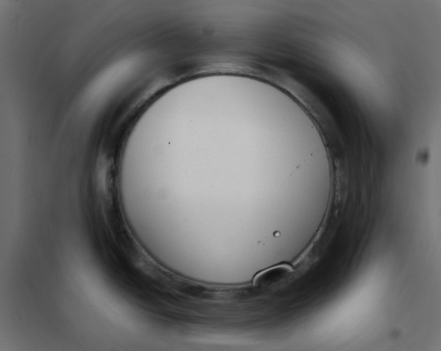 X0000102031438200808081802