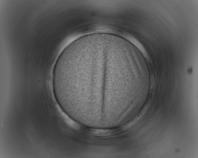 X0000102031439200808081802