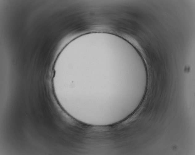 X0000102031440200808081802