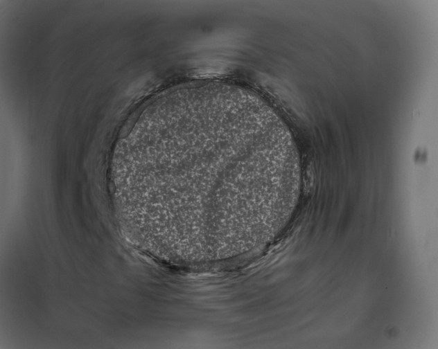 X0000102031441200808081801