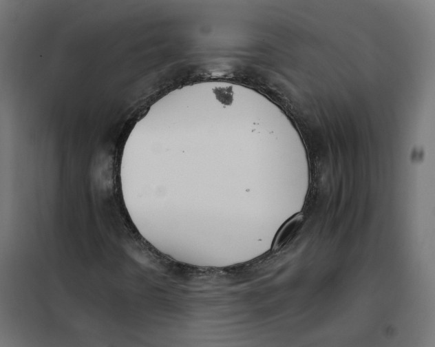 X0000102031442200808081801