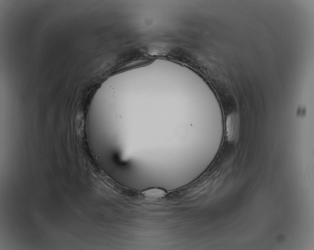 X0000102031443200808081801