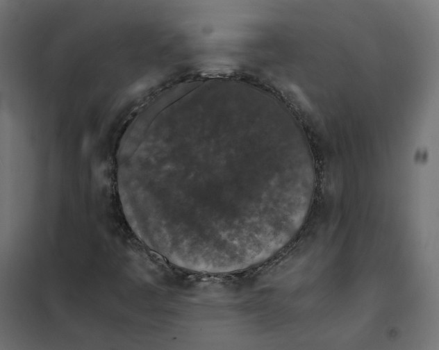 X0000102031445200808081801