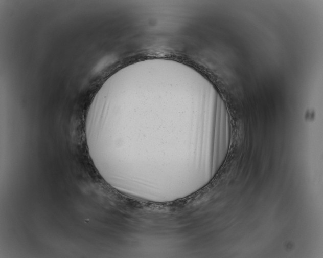 X0000102031446200808081801