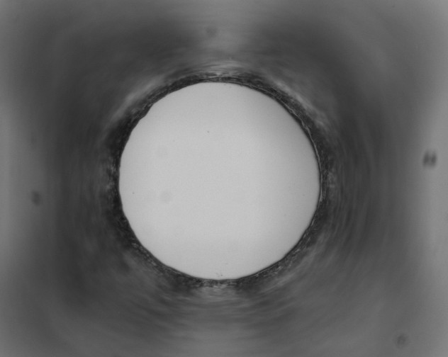 X0000102031447200808081801