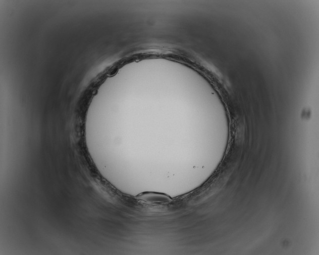 X0000102031448200808081801